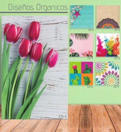 Cuadro Diseños Organicos 0.38×0.68